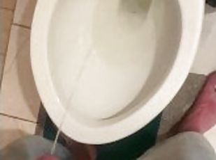 Piss into shared hostel toilet