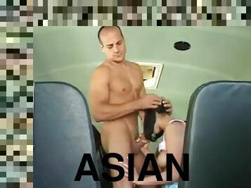 asiatisk, buss