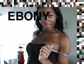 Ebony shemale Vixen Coxx is fucking white boy