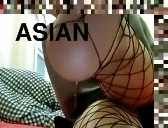 Asian soles in fishnets