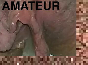 cul, papa, pisser, chatte-pussy, amateur, mature, belle-femme-ronde, assez, fétiche, solo