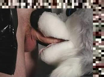 Furry close up Blowjob 4K