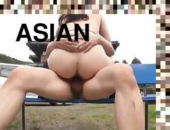 asiatic, japoneza, cur-butt