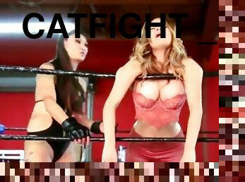 Catfight