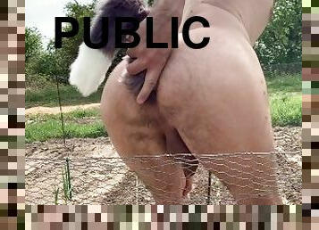 public, anal, hentai, bout-a-bout, jardin