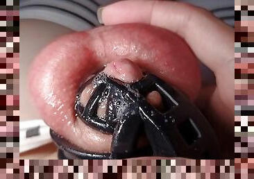 Femboy leaking precum wearing chastity