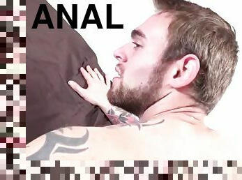 anal, gay, realitate