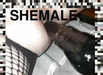 shemale, amatør, anal, eldre, leke, ladyboy, strømper-stockings, undertøy, amerikansk, alene