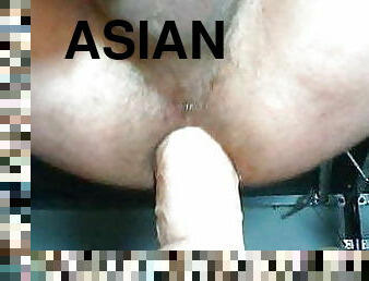 asiático, gordo, masturbação, anal, brinquedo, gay, japonesa, punheta, bbw, ejaculação