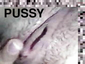 pussy