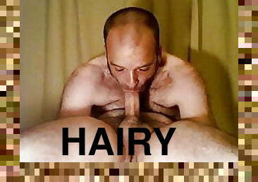 Bearded Balding Hairy Hung Selfsucker&#039;s BJ-SWALLOW          