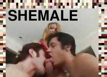 shemale, anal, blowjob, stor-pikk, knulling-fucking, biseksuell, dominans