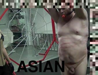 asiatic, bdsm, amanta, femdom, plesnit