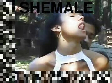 A lucky guy gets to fill the mouth and ass of this beautiful tanned shemale in the forest meadow.