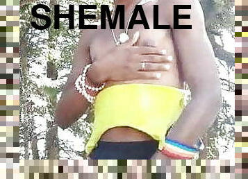 Shemale 345