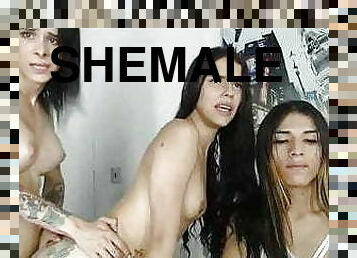 dyakol-masturbation, lalaking-babae-shemale, baguhan, puwetan, tsupa, lalaking-babae-tranny, pagkaisahan, mag-syota, tatluhan