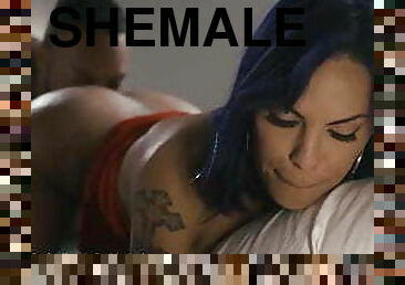 shemale, anal, interracial, transeksuell, røff