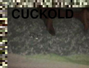 žena, doma-narejeno, črni, cuckold