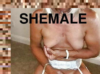 Shemale 