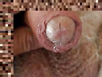 Grandpa Cum Drop