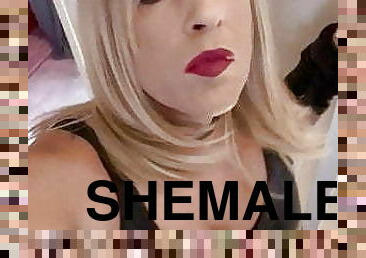 shemale, amatør, anal, blowjob, gangbang, fransk, ladyboy, undertøy, små-pupper