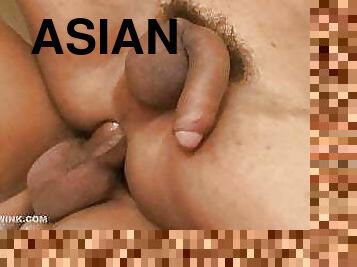 asiatiche, amatoriali, dottori, gay, feticci, twink