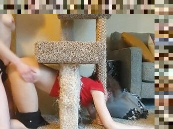 Lesbian girlfriend gets stuck in cat tree