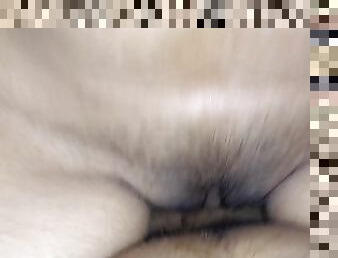 amatir, remaja, latina, vagina-vagina