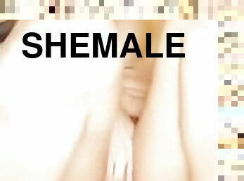 shemale, amatør, kåt, knulling-fucking, alene