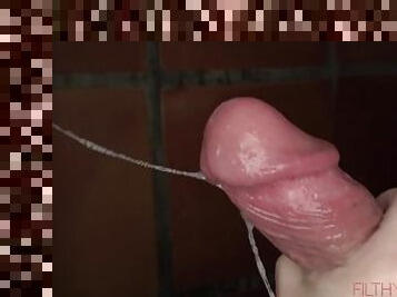 Cutie Aria Banks Sucks Cock in the Shower