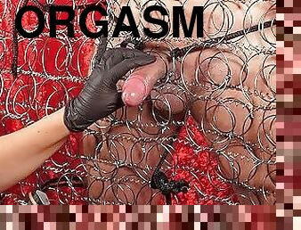 orgasm, kättevõtmine, bdsm, ori, piim, kevadvaheaeg, domineerimine, femdom, laksu-andmine, karm