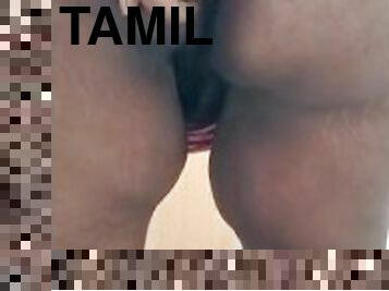 Malaysian tamil pussy from the side