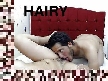 playing with a hairy pussy with my hairy beard after licking that tasty wet pussy with pubic hair