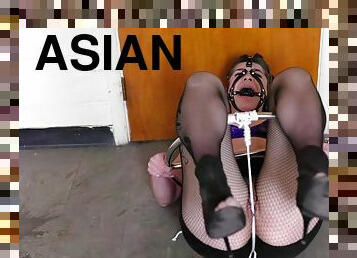 アジアの, 巨大なコック, 熟女, 日本人, bdsm, 仕入れ, フェティッシュ, 独奏, ブルネット