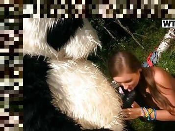 Wild Sex To Award A Hero Panda With Mancy