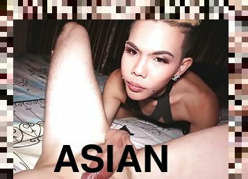 asiatiche, vulve-pelose, lui-lei, rapporti-anali, transessuali, pov, tailandesi