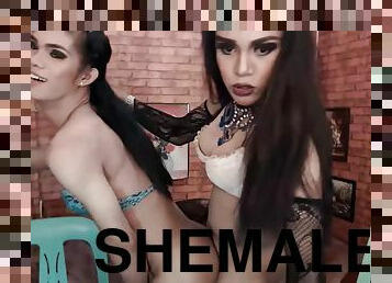Two Shemale Having Very Hot Babe Love Making On Cam