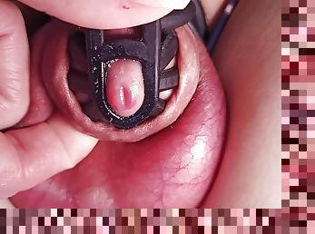 Super close up dick dripping pre cum in chastity cage
