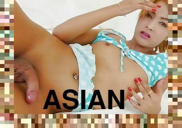 asiático, transsexual, sozinho