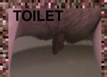 Shameless and pretty Hedge is pissing in the toilet