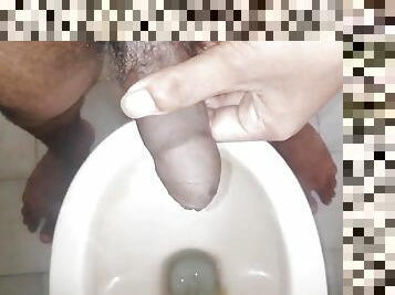 Black asian hard cock touching in bathroom afternoon