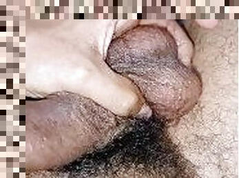 Uncut hairy cock