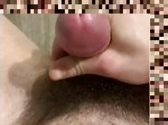 Close Up of Big Dick and Hairy Bush