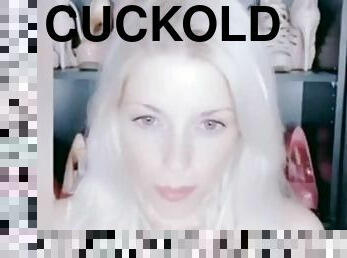 Cuckold JOI Dildo sucking cock for mistress