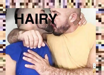 BEARFILMS Hairy Alessio Romero And Teddy Torres Bareback