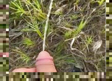 Pissing Outdoors in a Minnesota Field