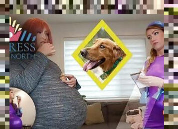 Daphne's Halloween Mystery Belly Expansion